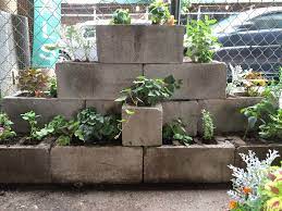 Super Simple Concrete Block Garden