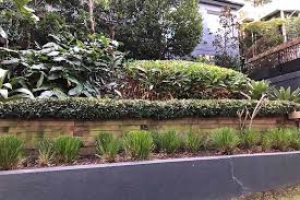 Eastern Suburbs Gardening Lower