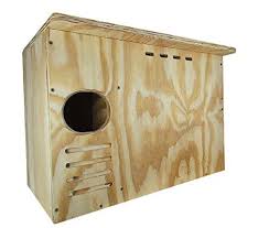 Bird House Kits Owl Nesting Nesting Boxes