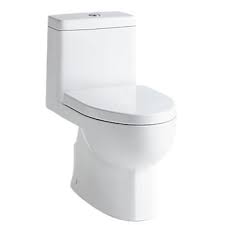 Compact Elongated Dual Flush Toilet