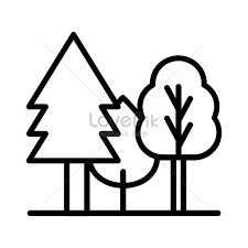 Forest Icon Images Hd Pictures For