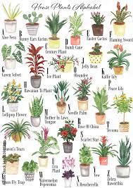 Watercolor House Plants Alphabet Abc