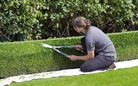 10 Ideas For Landscaping Property Lines