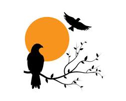 Flying Bird Silhouette Images Browse
