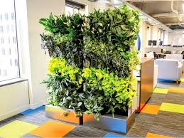 Florafelt Living Wall Systems