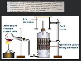 B Draw A Well Labelled Diancion For