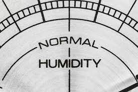 Ideal Basement Humidity Level