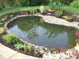 Fish Pond At Best In New Delhi By