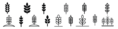 Wheat Icon Images Browse 1 961 Stock