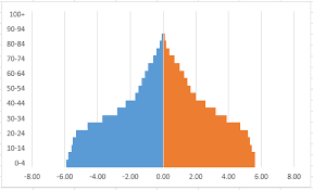 How To Build A Population Pyramid In