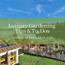 January Gardening Tips And To Dos For