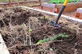 Understanding Cover Crops The Basics