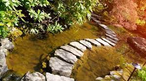 Water Stepping Stone Path Pond Stones