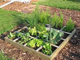 How To Make A Square Foot Garden