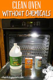 Clean Oven With Vinegar Oven Cleaner