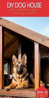 Easy Pallet Diy Dog House Plans That