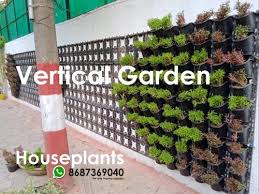 Vertical Garden Outdoor Plants At Rs
