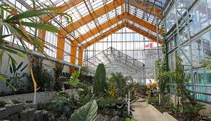 Gage Park Tropical Greenhouse City Of