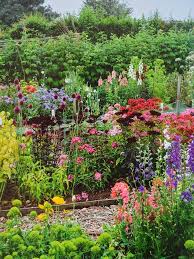 Cut Flower Garden For Homegrown Bouquets