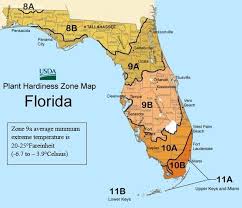 Florida Gardening Conditions Home And