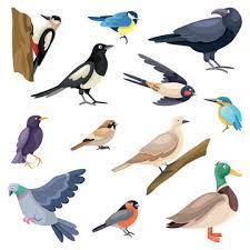 Sparrow Icon Images Browse 24 926