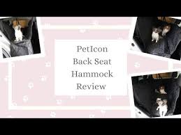 Cat S Canines Review Car Seat Cover