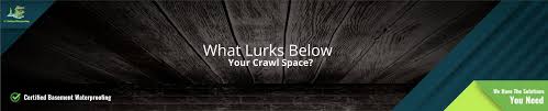 Crawl Space Repair Services In