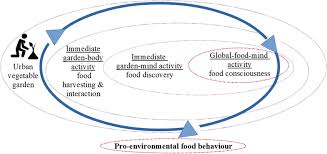 An Embodied Model For Human Food