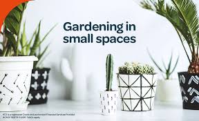 Garden In A Small Space