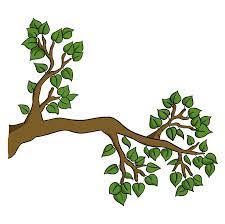 How To Draw A Tree Branch Really Easy
