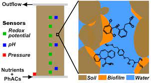 Role Of Soil Bios In Clogging And
