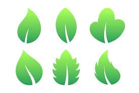 Leaf Shape Vectors Ilrations For
