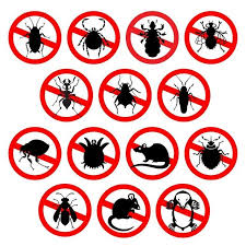 The Risks Of Pests In Your Hvac System