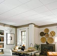 Acoustic Drop Ceiling Tiles Ceilings