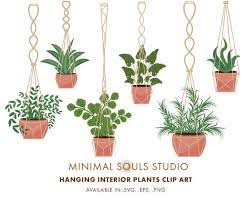Set Of 6 Hanging Indoor Plants Clipart