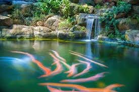 Japanese Garden Waterfalls Lush Green