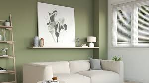 8 Best Olive Green Paint Colors For
