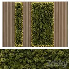 Moss Wall Wood Frame Wall Decor 50