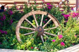 Wagon Wheel Flowers Images Browse 3