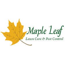 Maple Leaf Lawn Care Pest Control