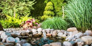 Best Plants To Surround Your Fountain