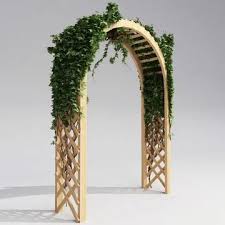Arbor With Ivy Buy Now 91487749 Pond5