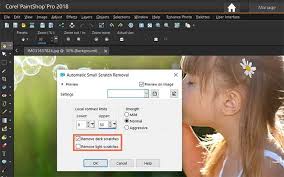 Remove Noise From Image In Paint Pro