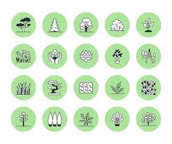 Trees Flat Line Icons Set Plants