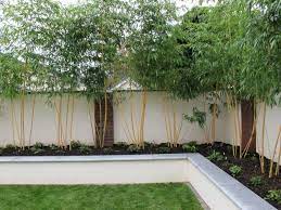 Garden Wall Designs Raised Garden