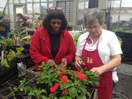 Lee County Master Gardeners