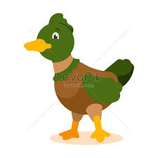 Cartoon Duck Images Hd Pictures For
