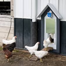 Poultry Door For En Coops
