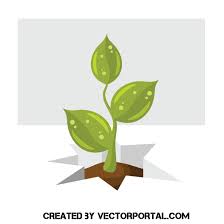 Green Sprout Royalty Free Stock Svg Vector