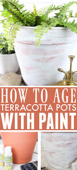 How To Age Terra Cotta Pots With Paint